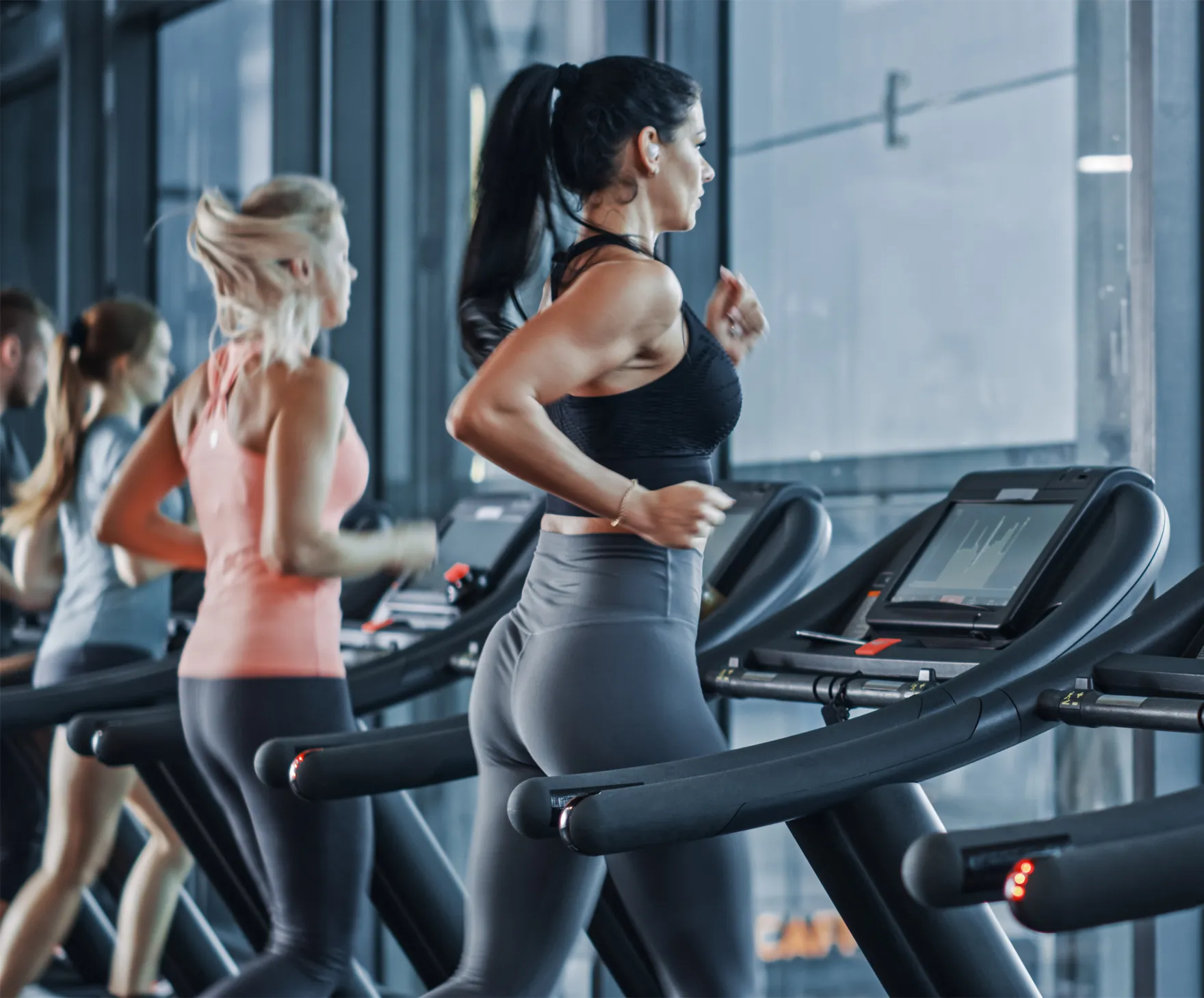 Luxury Gym